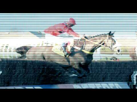 horses grand national