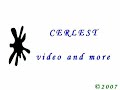 My Logo, CERLEST ©2007