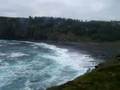 videos de Middle Cove oct1108 005.MOV