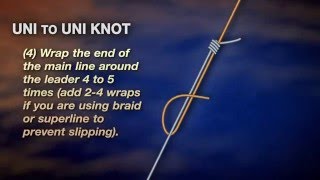 How to tie a Uni to Uni Knot a k a  Double Uni by 
