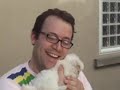 Adorable Puppies Frolicking Adorable Puppies Frolicking