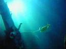 SeaLife