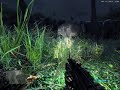 The best crysis Battle! (crysis on 8800 GT) The best crysis Battle! (crysis on 8800 GT)