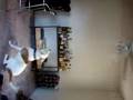 Dog Chases Ceiling Fan Runs In Circles Funny