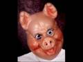 baboy sa silong