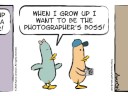 What the Duck Animated Comic Strip 613 What the Duck Animated Comic Strip 613