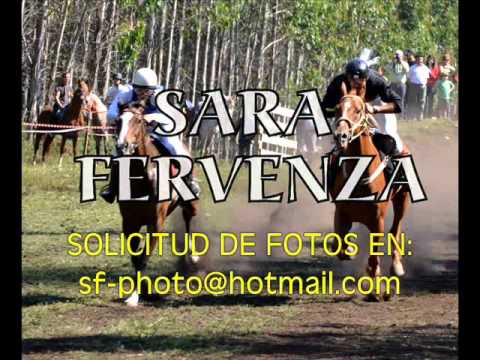 CARREIRAS DE CABALOS FRIOL 2011