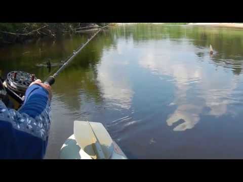 ловля щуки в великом новгороде ловля щуки в великом новгороде