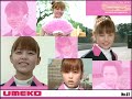 Imagens super Sentai 1979 a 2006