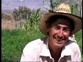 Desalojos y Desmontes s.a. 2 Parte