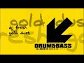 dj Fresh - Gold Dust [HiQ]