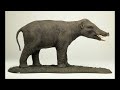 Click here to watch this video Why I am no longer a creationist -- Part 2.1: Missing Links - Proboscidea