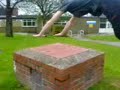 chaddy parkour
