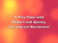 A Play Date for Hubert and Quincy at WHS