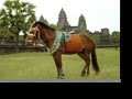 angkor wat