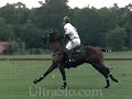 Polo so fast that you need UltraSlo motion