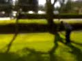 jord vs pirie in the pitch and putt world championships