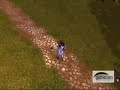 Die Horde rennt weg!