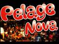 Pelage Nova (Senta Que Esquenta)