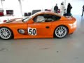 crash net   ginetta g50