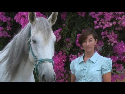 how to properly lunge a horse