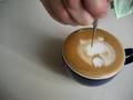 Latte art Bear