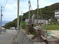 Mikurajima - noon Mikurajima - noon