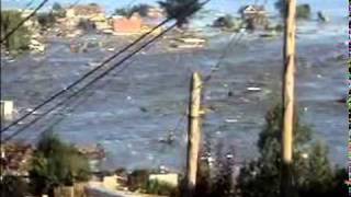 Tsunami e Terremoto Chile, 2010