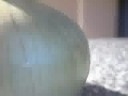 onion