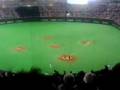 20080614　北海道日本ハムファイターズ－東京ヤクルトスワローズ　始球式