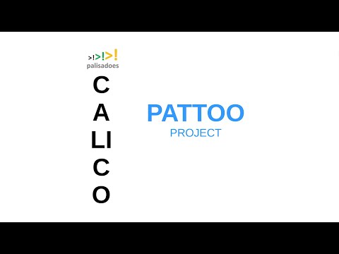 See Pattoo in action on the Palisadoes Foundation's YouTube channel