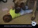 Cachorr�o AMIGOS