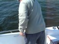 Challenger Marsh Master Testimonial!