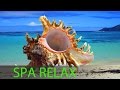 6 Hour Best Relaxing Spa Music, Background Music, Soothing Music, Massage Music ☯357 6 Hour Best Relaxing Spa Music, Background Music, Soothing Music, Massage Music ☯357