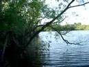 158-Couchville Lake Part 2 158-Couchville Lake Part 2
