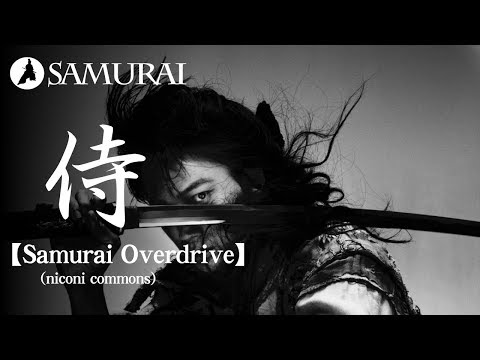 動画