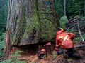 Brother Mike \"lifts\" cedar