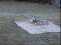 Hovering Flight of Trex  450 SE