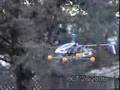 Hovering Flight of Trex  450 SE