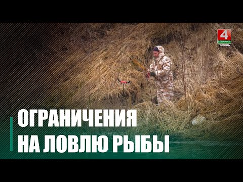 В Беларуси ввели ограничения на ловлю рыбы в связи с её нерестом видео