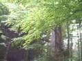 岩手町の観光地