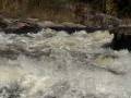 videos de Moose River Fest Day 2 Oct. 2008