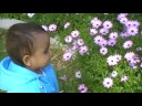 phool veda alakh 2