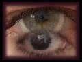  Forough Farrokhzad Farokhzad Parvaneh Farid Persian Poetry Farsi Iran poetry Another Birth art short film Tavalodi
