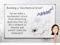 Building a tiny DNA brain (Part I: design)