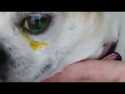 how to treat keratitis