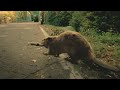 Super Bowl 2011 Commercial - Bridgestone Carma