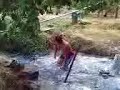demir kapija-skokaj drc