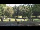 NORDIC WALKING by OUTDOORWELLNESS.EU