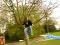 idiot in the tree idiot in the tree